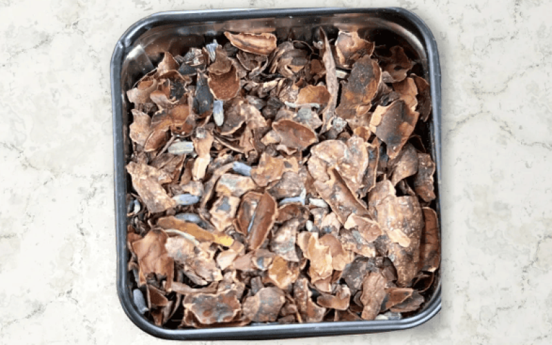 cacao-tea